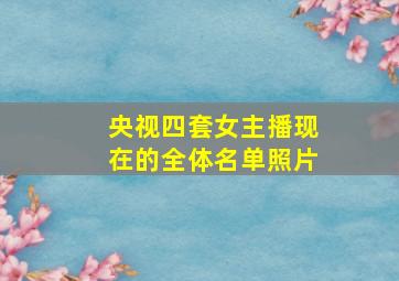 央视四套女主播现在的全体名单照片