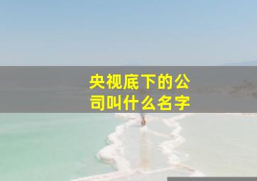 央视底下的公司叫什么名字