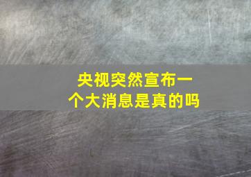 央视突然宣布一个大消息是真的吗