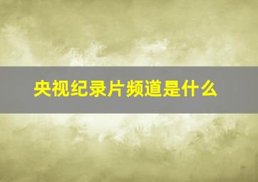 央视纪录片频道是什么