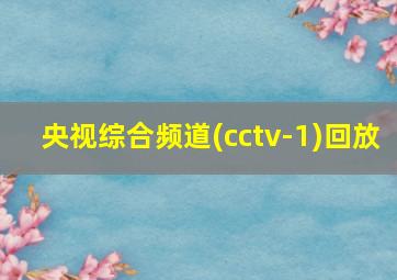 央视综合频道(cctv-1)回放