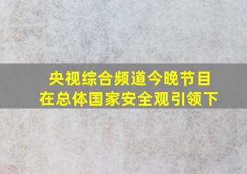 央视综合频道今晚节目在总体国家安全观引领下