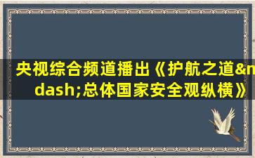 央视综合频道播出《护航之道—总体国家安全观纵横》