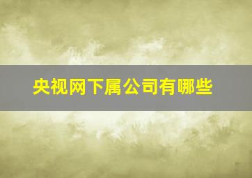 央视网下属公司有哪些