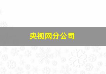 央视网分公司