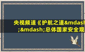 央视频道《护航之道——总体国家安全观纵横》