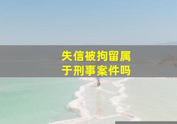 失信被拘留属于刑事案件吗