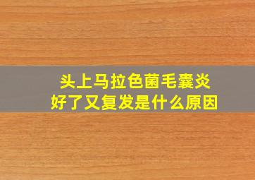 头上马拉色菌毛囊炎好了又复发是什么原因