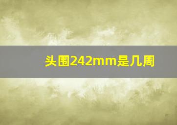 头围242mm是几周