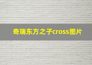 奇瑞东方之子cross图片