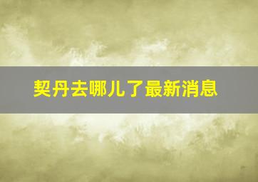 契丹去哪儿了最新消息