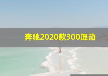 奔驰2020款300混动