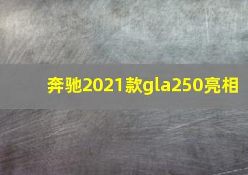 奔驰2021款gla250亮相