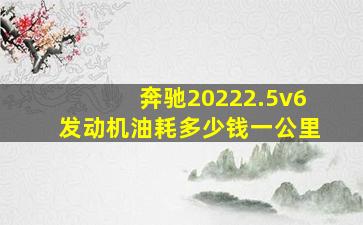 奔驰20222.5v6发动机油耗多少钱一公里