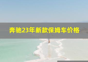 奔驰23年新款保姆车价格