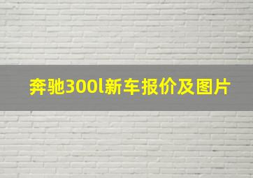 奔驰300l新车报价及图片