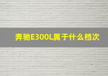 奔驰E300L属于什么档次