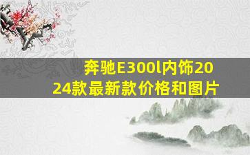 奔驰E300l内饰2024款最新款价格和图片