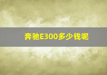 奔驰E300多少钱呢