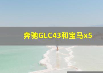 奔驰GLC43和宝马x5