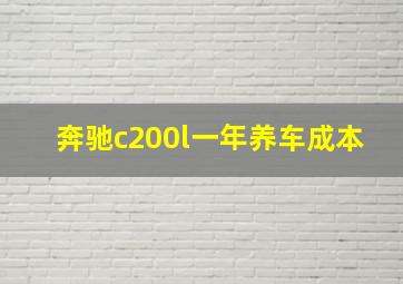 奔驰c200l一年养车成本