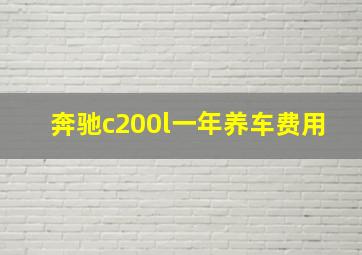 奔驰c200l一年养车费用