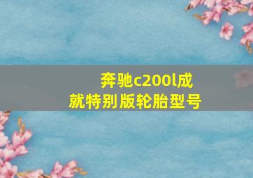 奔驰c200l成就特别版轮胎型号