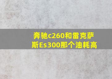 奔驰c260和雷克萨斯Es300那个油耗高