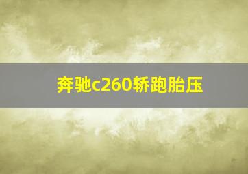 奔驰c260轿跑胎压