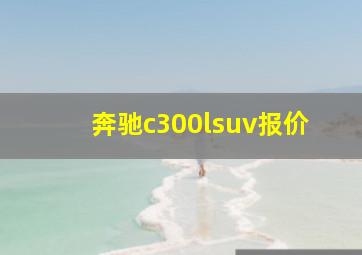 奔驰c300lsuv报价