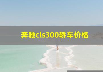 奔驰cls300轿车价格