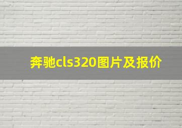 奔驰cls320图片及报价