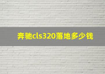 奔驰cls320落地多少钱