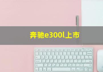 奔驰e300l上市