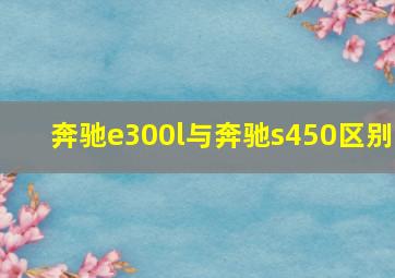 奔驰e300l与奔驰s450区别