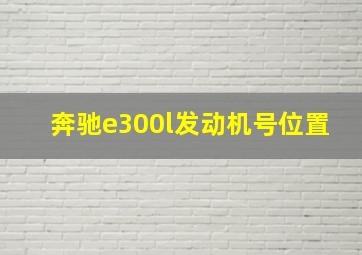 奔驰e300l发动机号位置