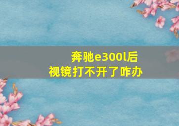 奔驰e300l后视镜打不开了咋办