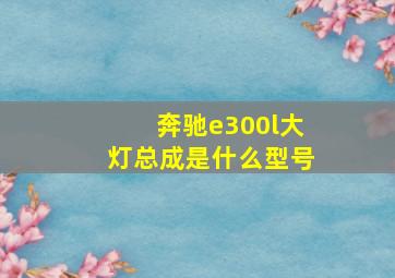 奔驰e300l大灯总成是什么型号