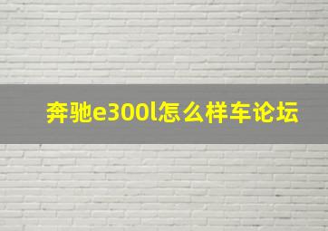 奔驰e300l怎么样车论坛