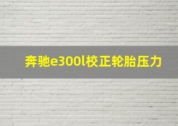 奔驰e300l校正轮胎压力