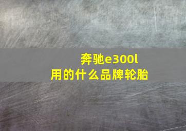 奔驰e300l用的什么品牌轮胎