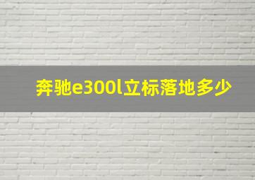 奔驰e300l立标落地多少