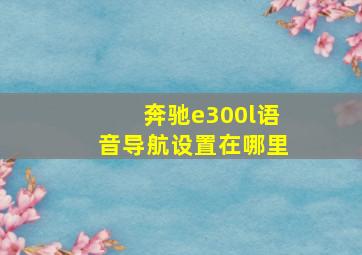 奔驰e300l语音导航设置在哪里