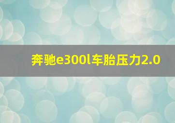 奔驰e300l车胎压力2.0