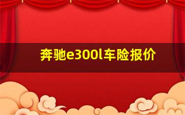 奔驰e300l车险报价