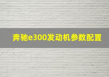 奔驰e300发动机参数配置