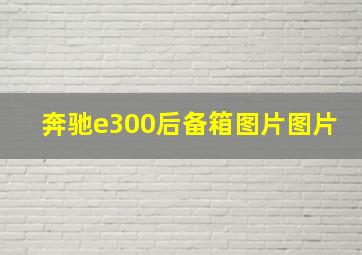 奔驰e300后备箱图片图片