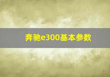 奔驰e300基本参数