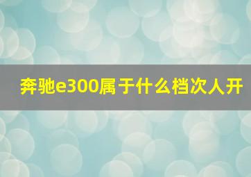 奔驰e300属于什么档次人开