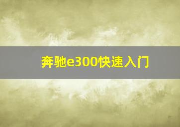 奔驰e300快速入门